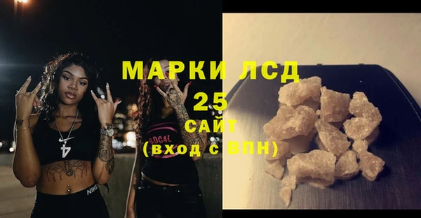 прущие грибы Володарск