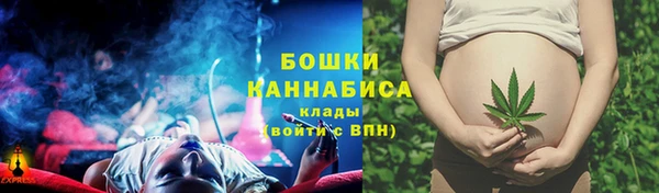 прущие грибы Володарск