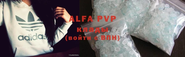прущие грибы Володарск